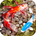 fish tank animated keyboard + live wallpaper android application logo